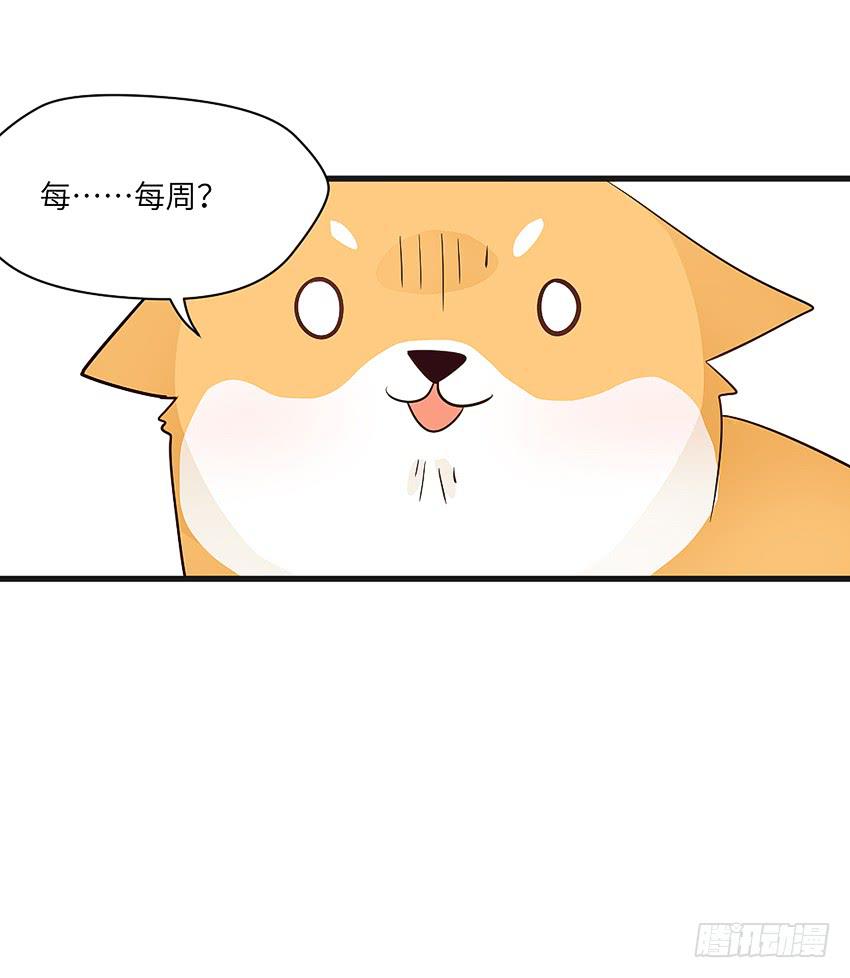 凭实力单身(1/2)-第4话