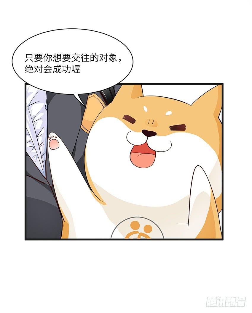 凭实力单身(1/2)-第4话