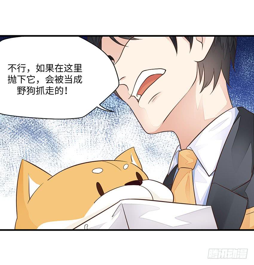 35&middot;保护小狗！-第36话