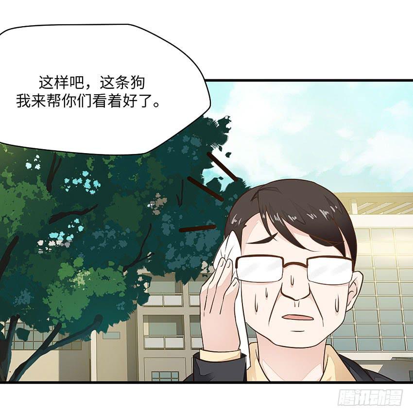 35&middot;保护小狗！-第36话