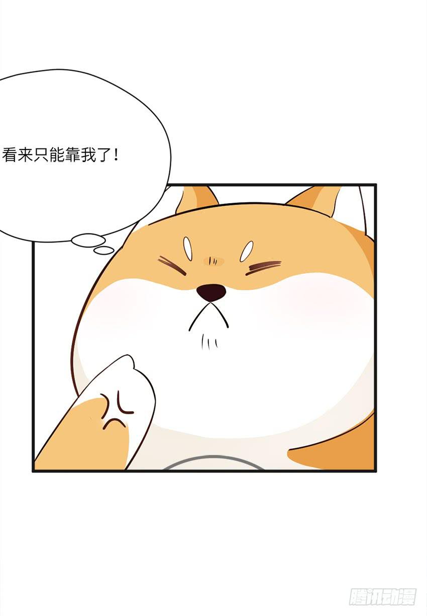 完全...说不出话来-第6话