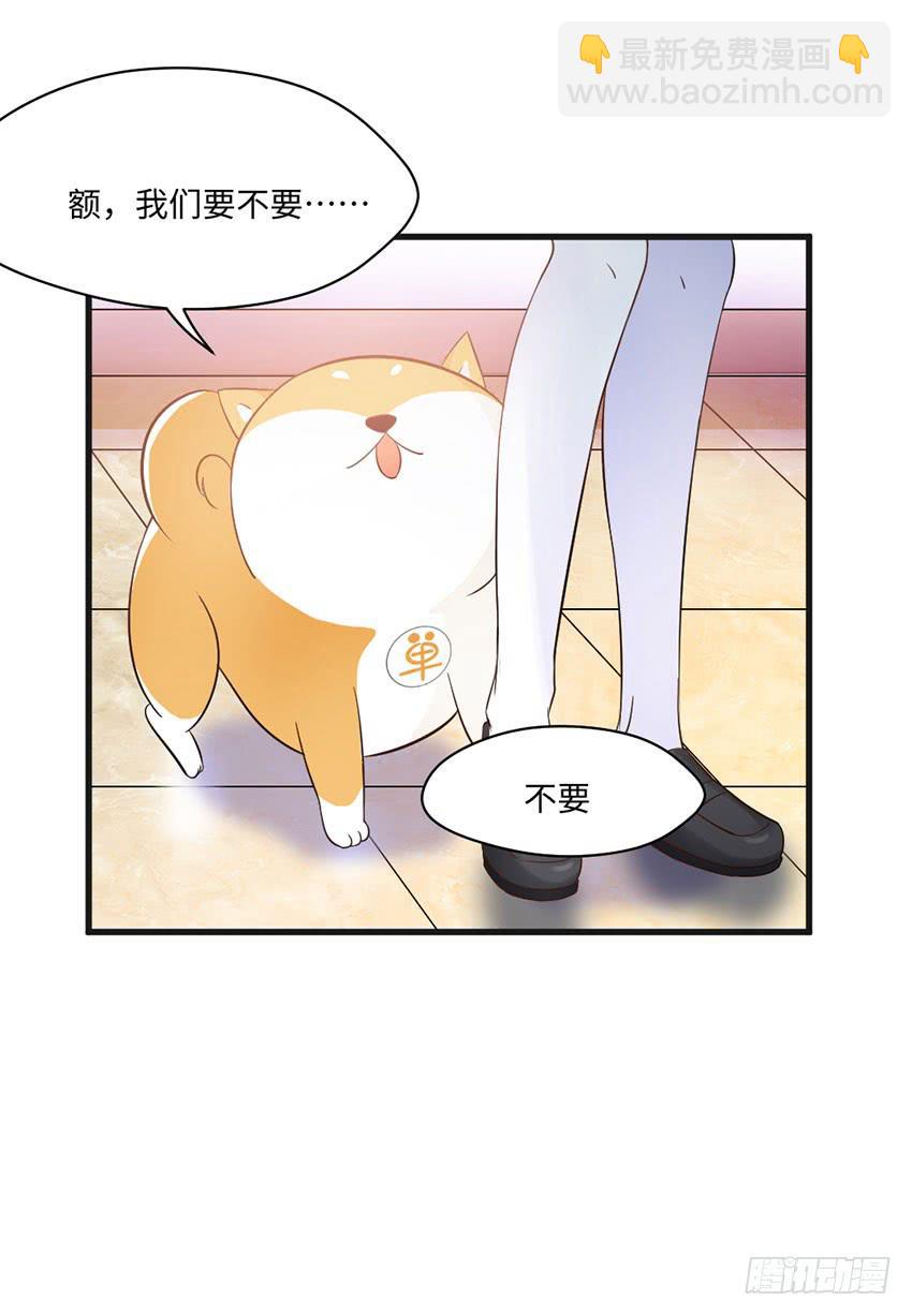 花坛边的小正太-第8话