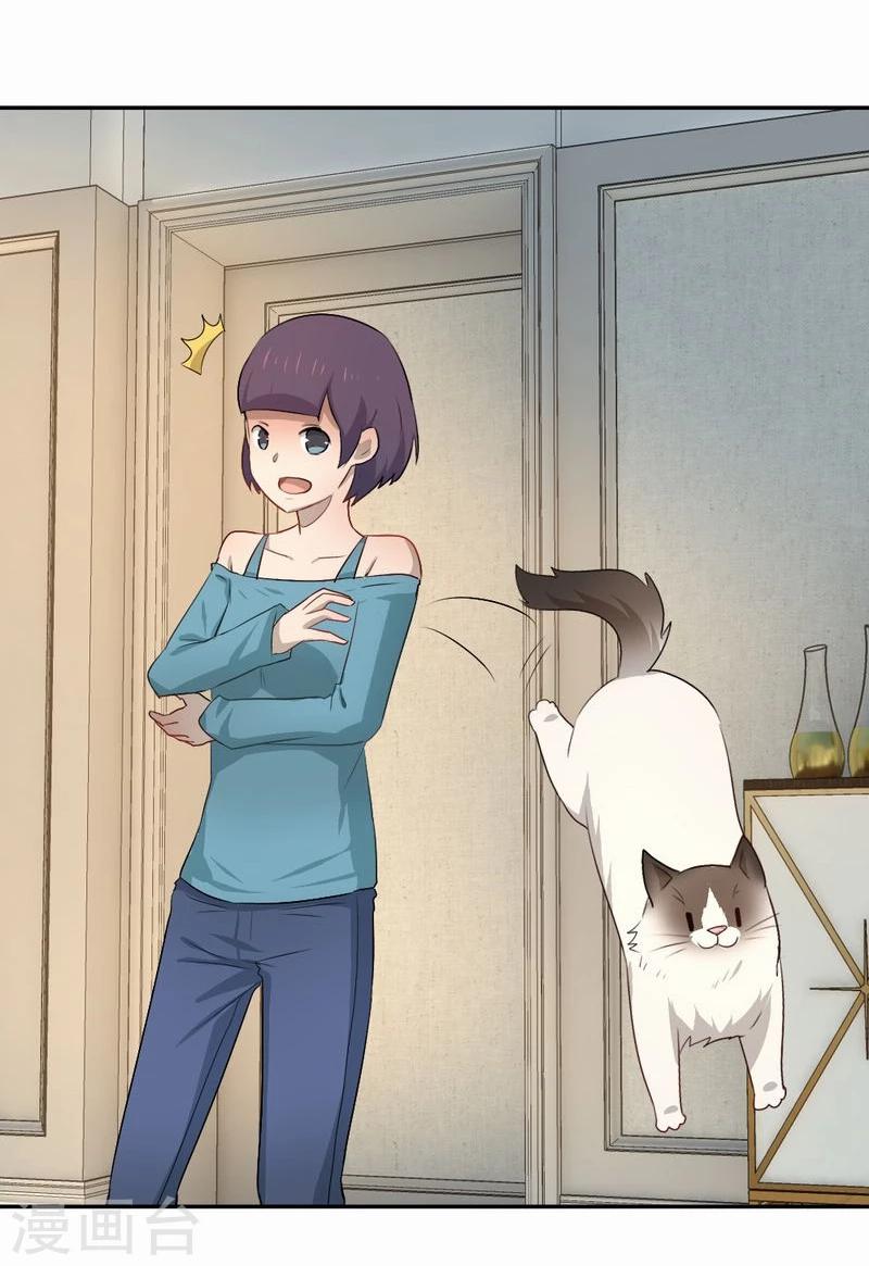 第53话 求助猫大王-第54话
