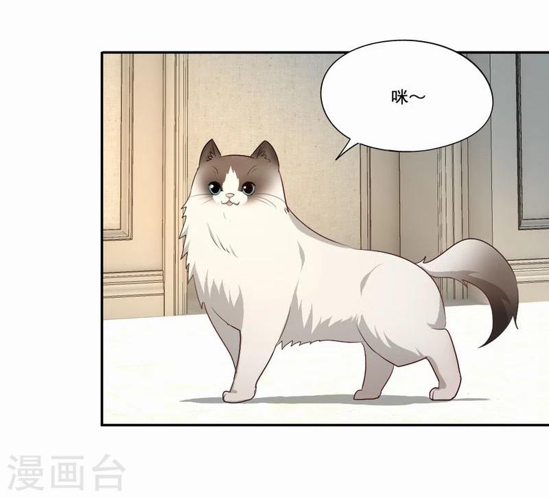 第53话 求助猫大王-第54话