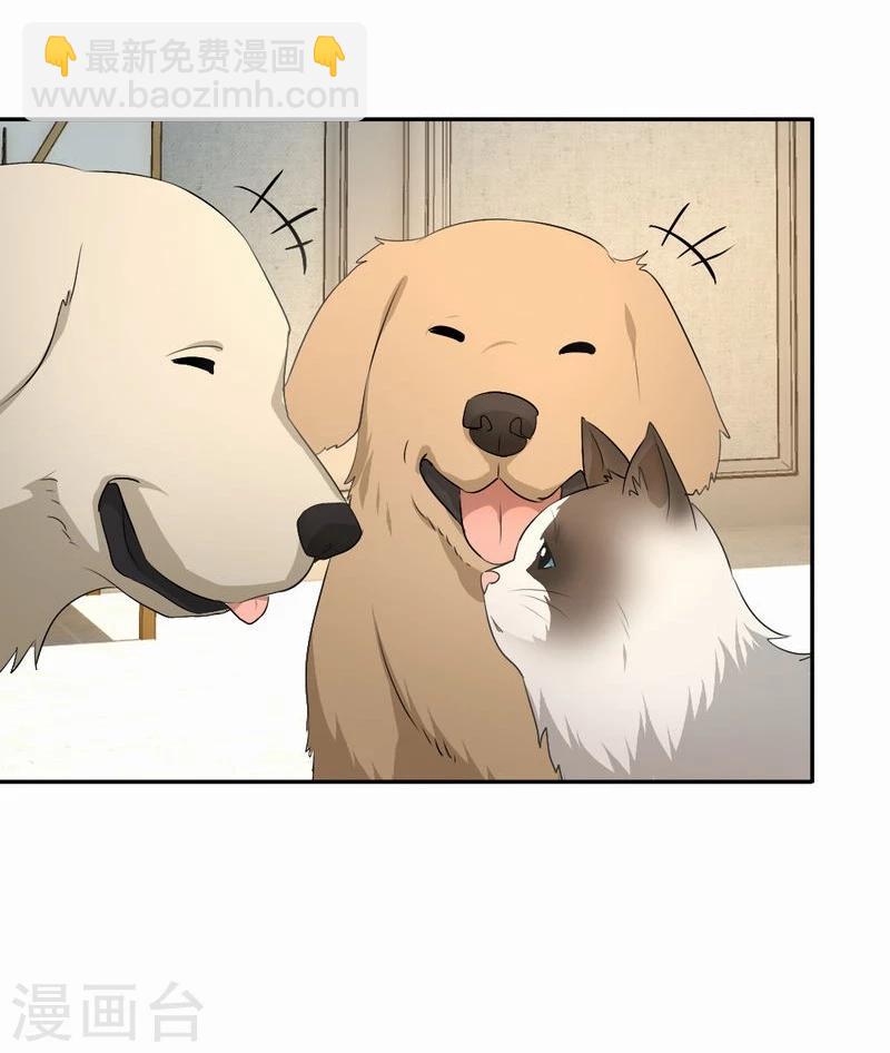 第53话 求助猫大王-第54话