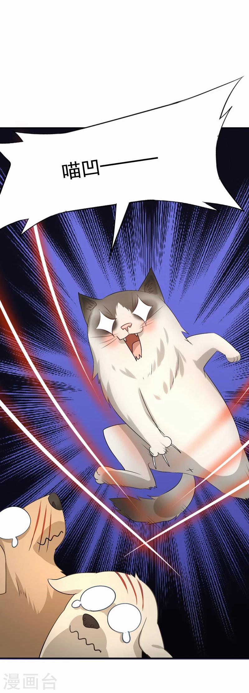 第53话 求助猫大王-第54话