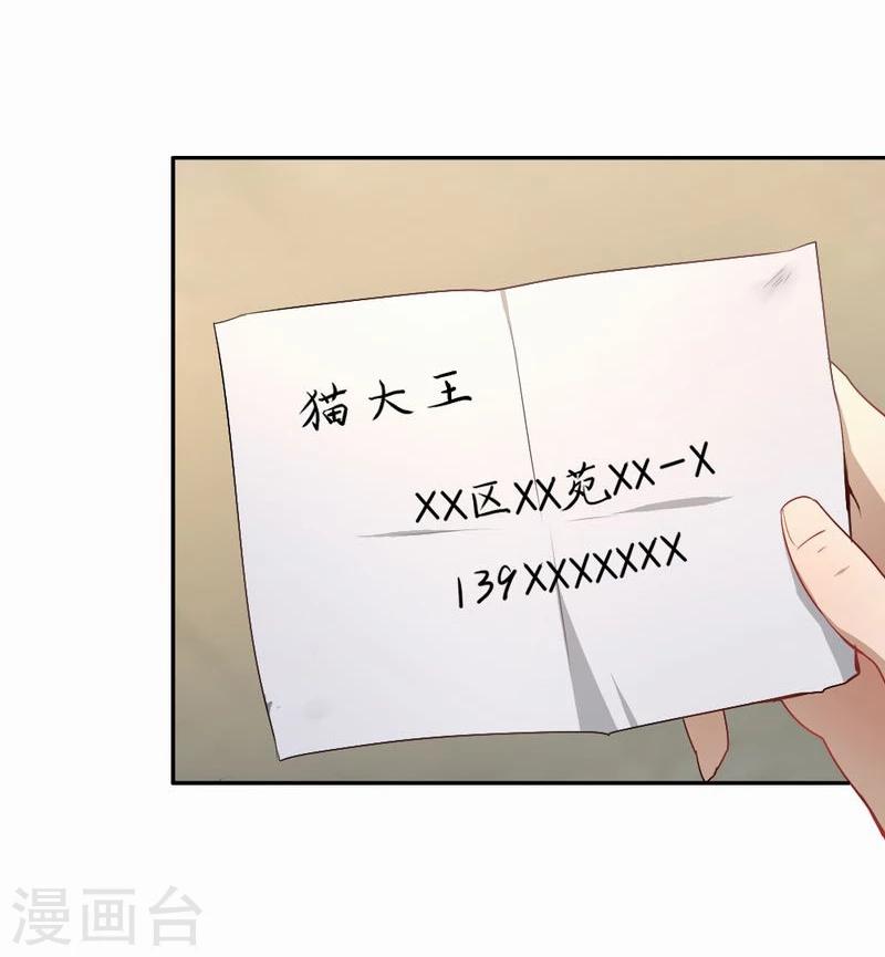 第53话 求助猫大王-第54话