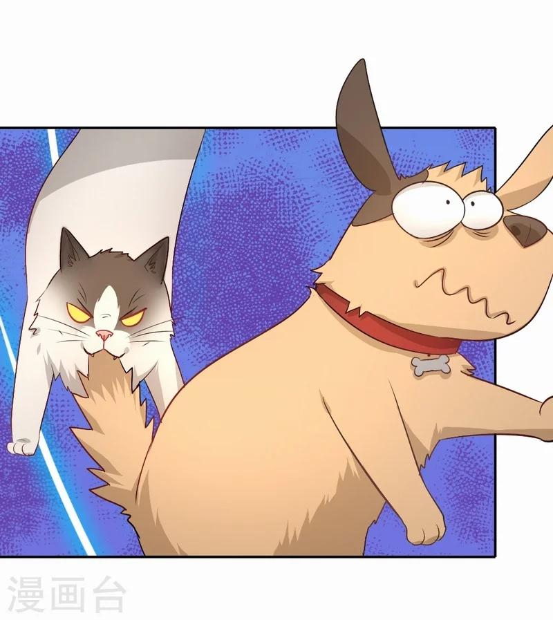 第59话 新晋猫奴-第60话