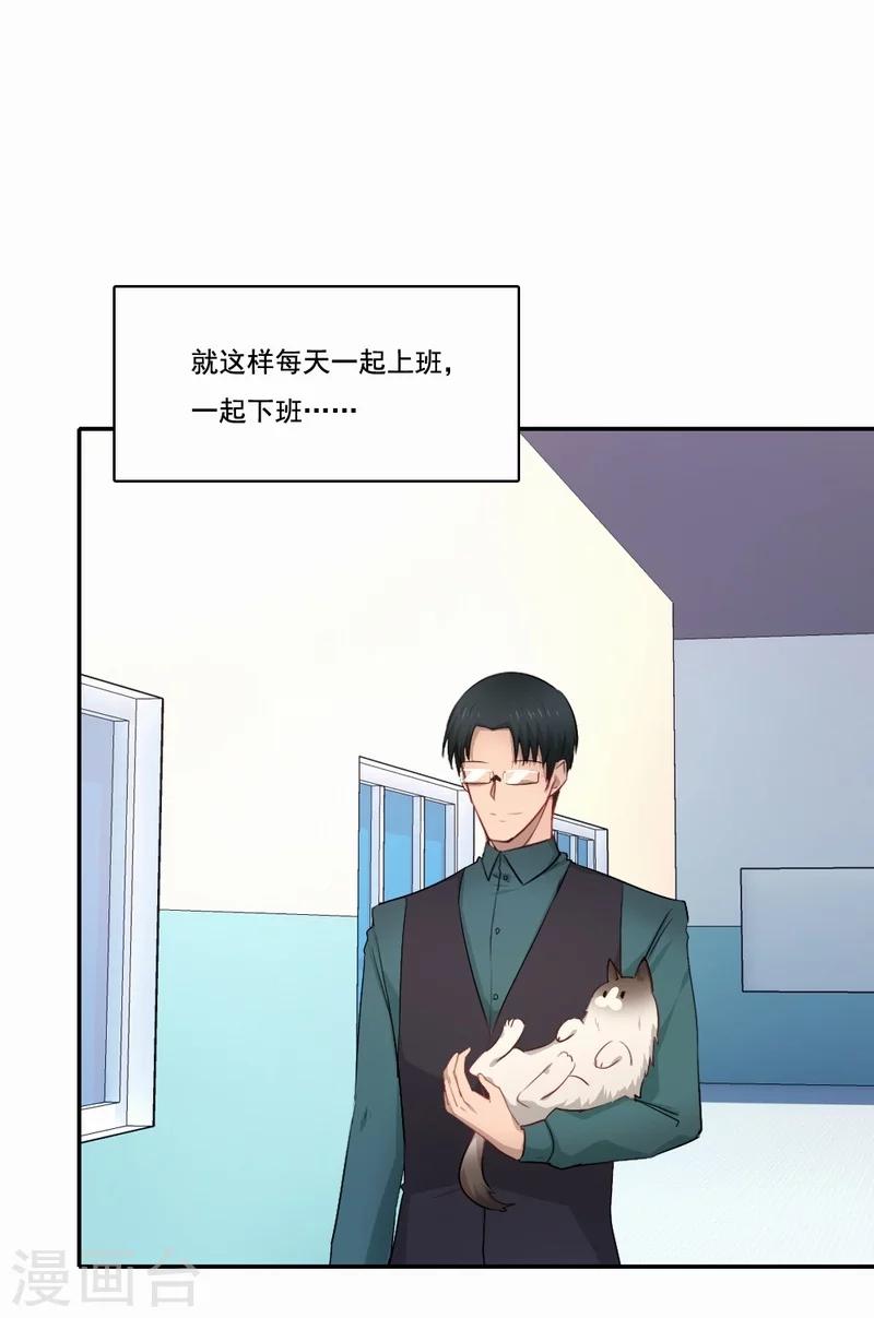 第59话 新晋猫奴-第60话