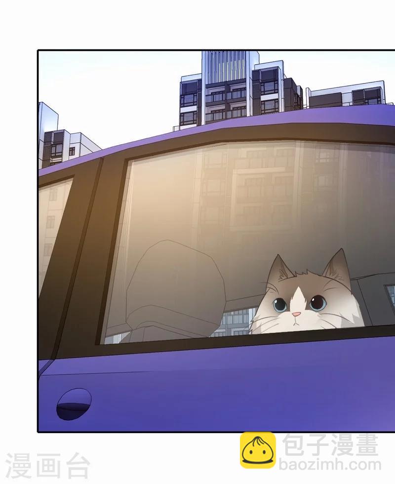 第59话 新晋猫奴-第60话