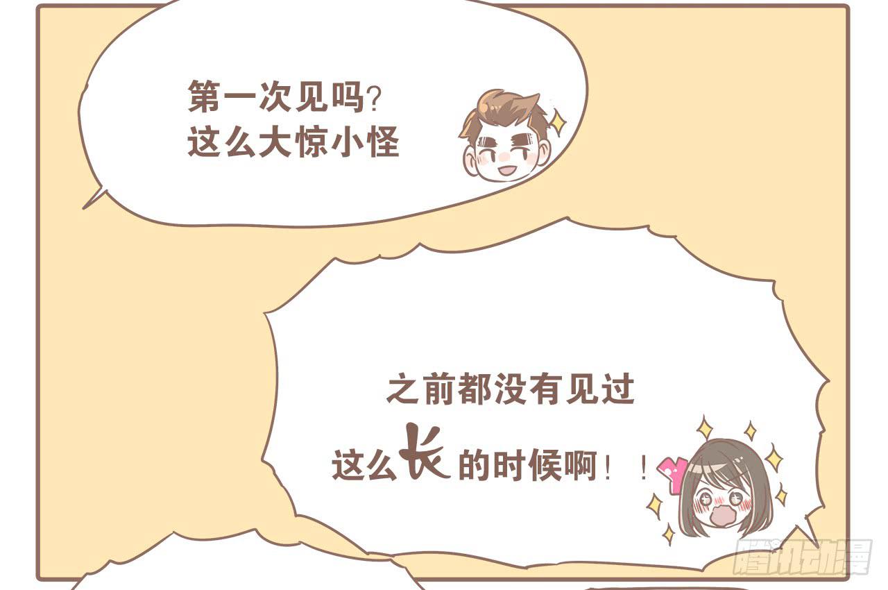 猫奴的生活-第30话