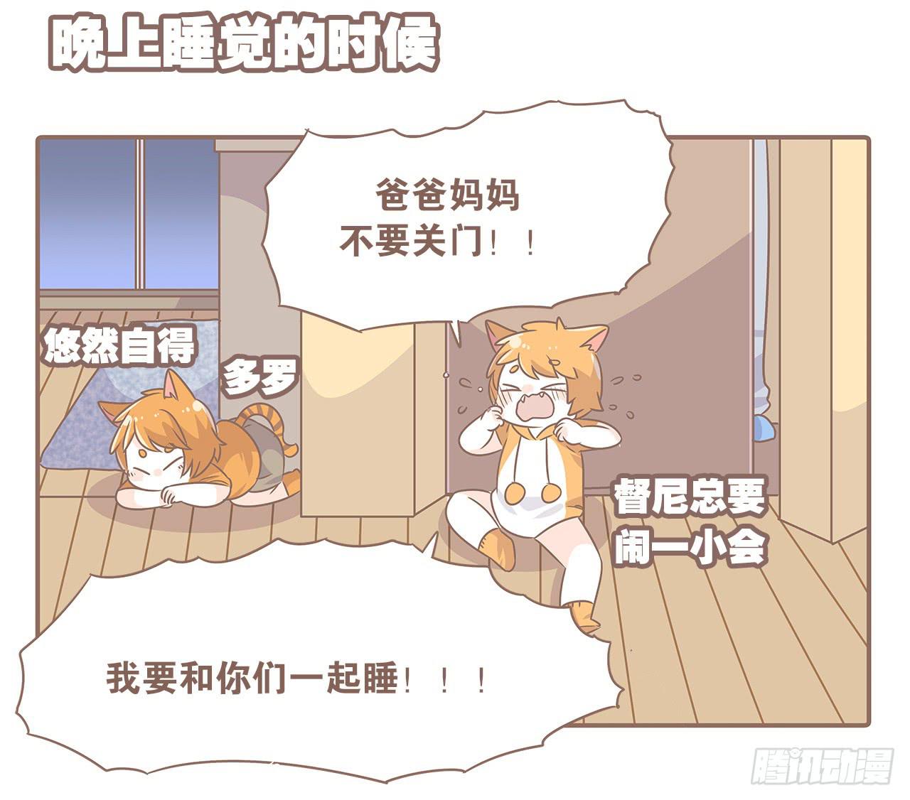 特别篇：家有俩猫-第48话