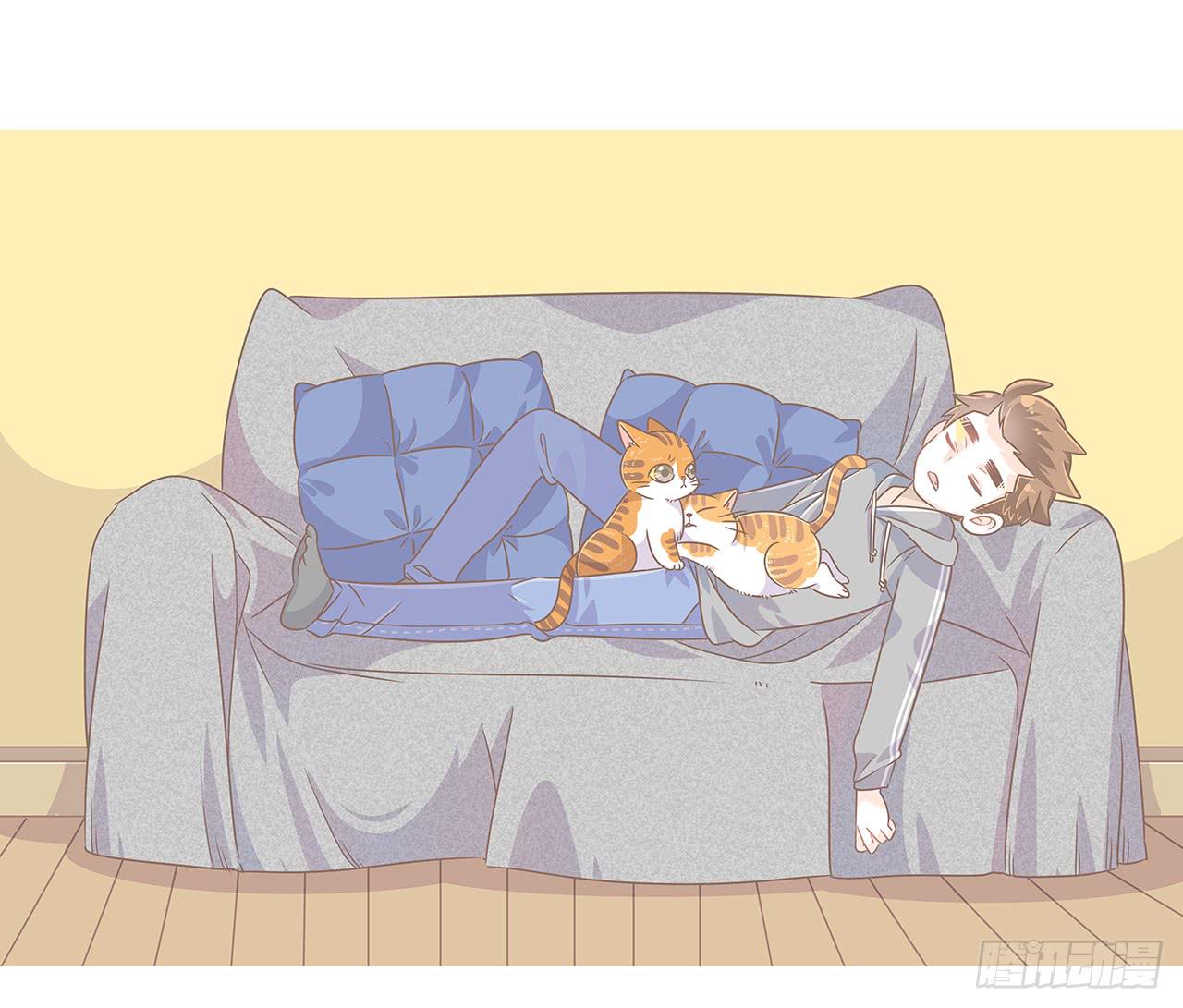 特别篇：家有俩猫-第48话