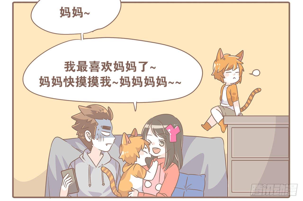 特别篇：家有俩猫-第48话