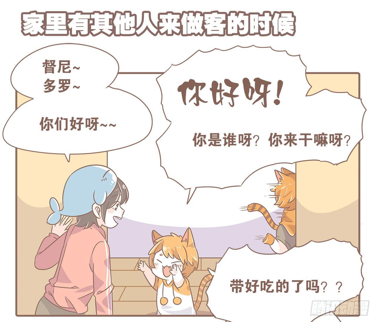 特别篇：家有俩猫-第48话