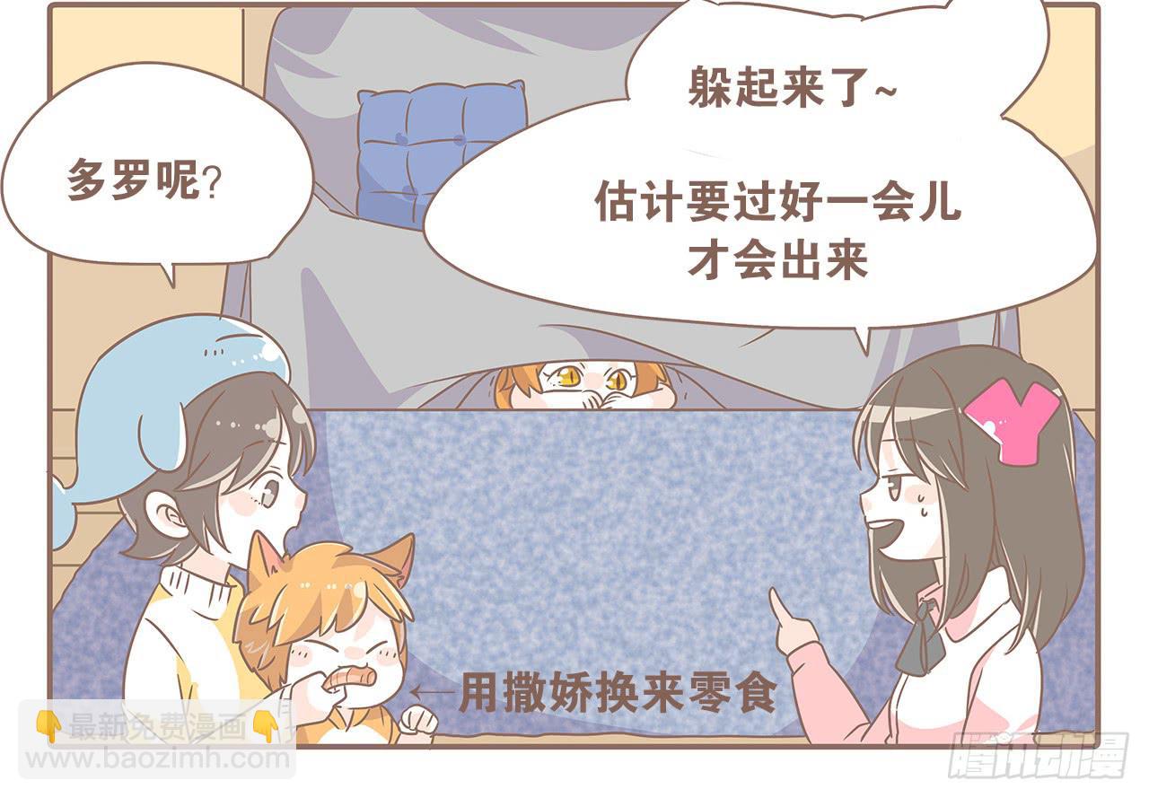 特别篇：家有俩猫-第48话