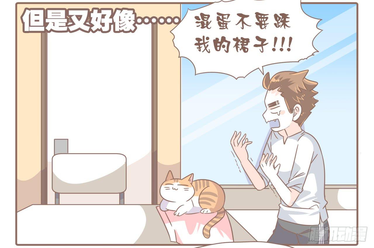 今年夏天，猴又变了-第66话