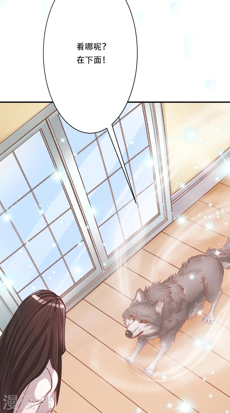 第4话 本王是狼，不是狗-第4话