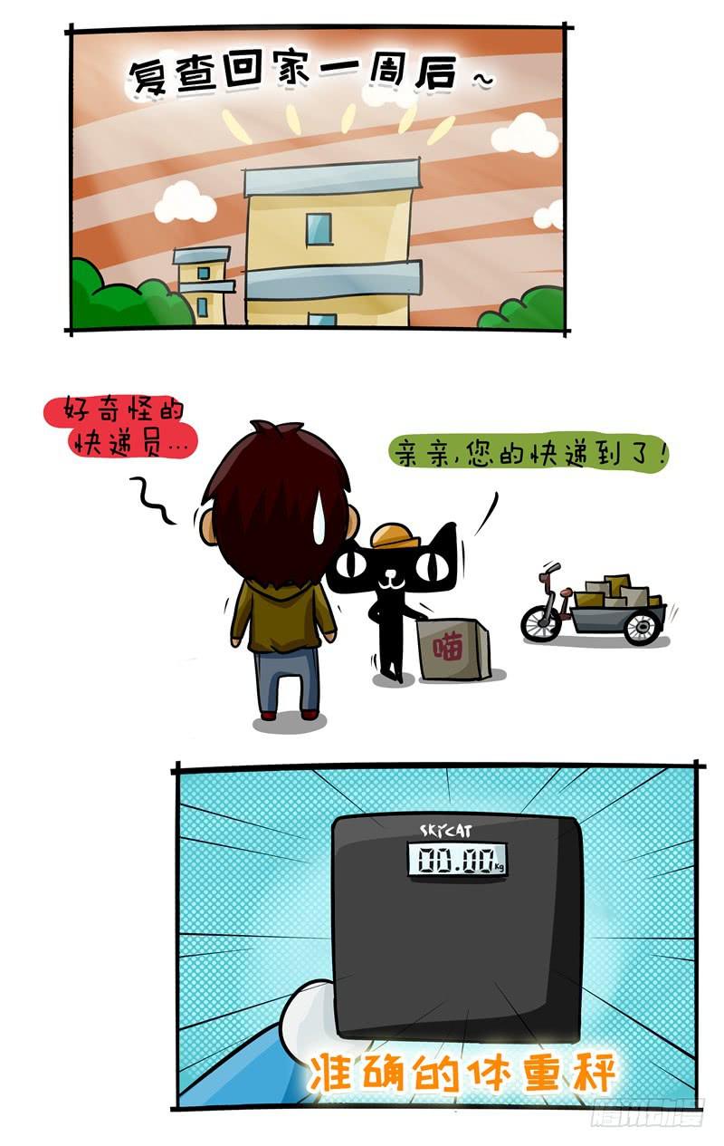 第41话 不能再瘦啦-第42话
