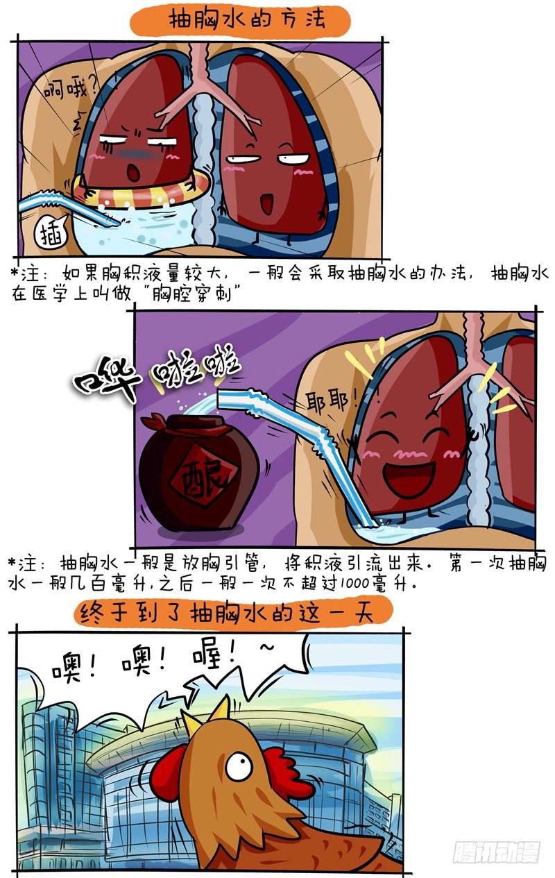 第47话 准备抽胸水啦-第48话