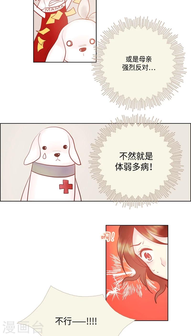 第66话 言情小说的套路-第66话