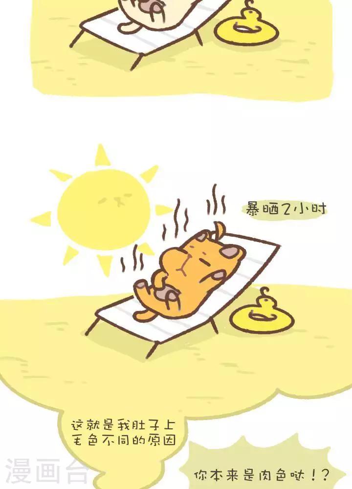 第一百零四话  造型-第104话