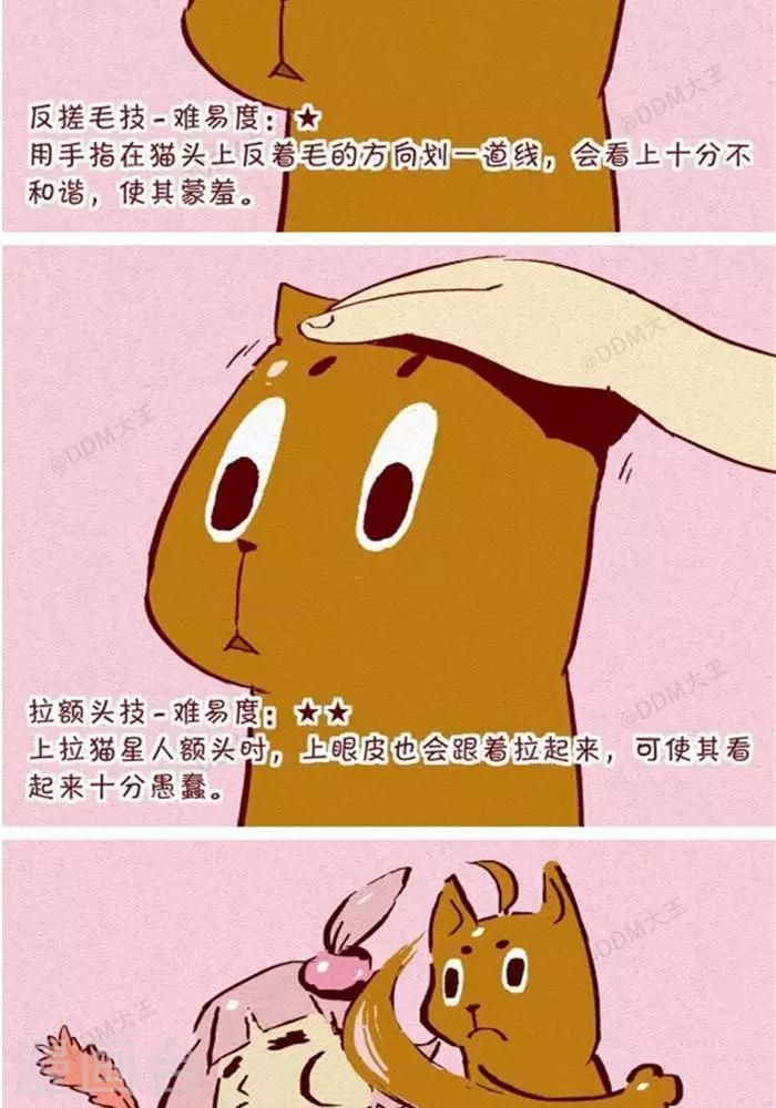 第130话  撸猫千法2-第130话