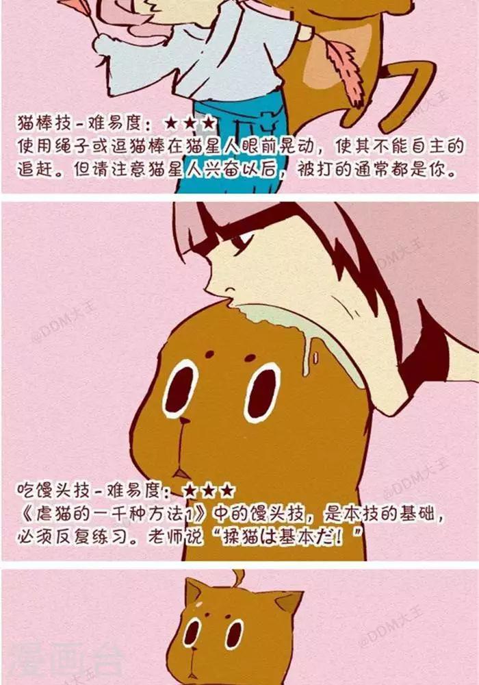 第130话  撸猫千法2-第130话