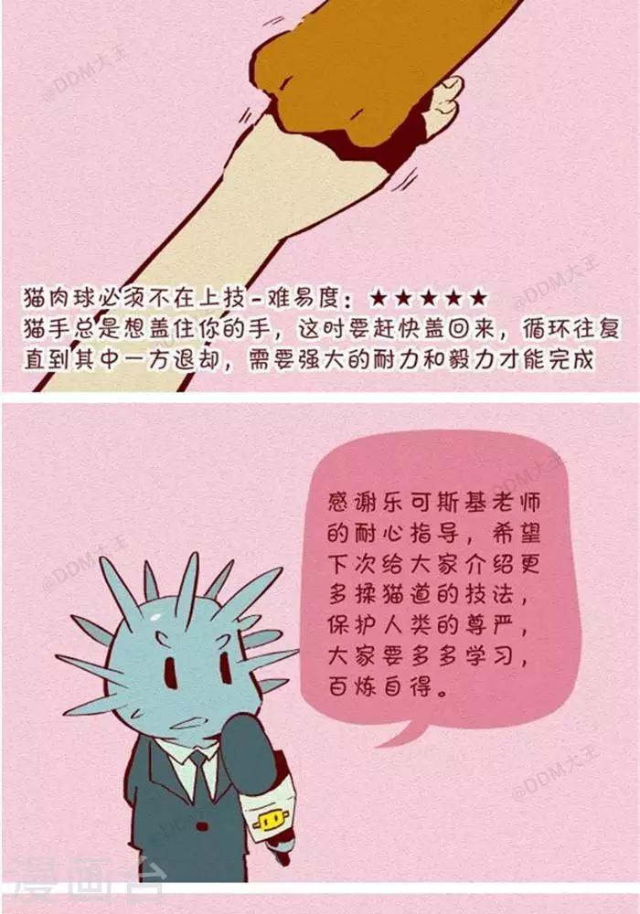 第130话  撸猫千法2-第130话