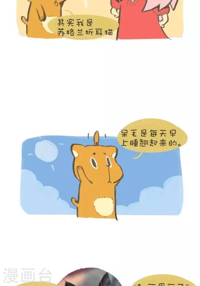 第138话  原型-第138话