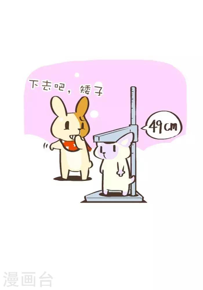 第142话  高度-第142话