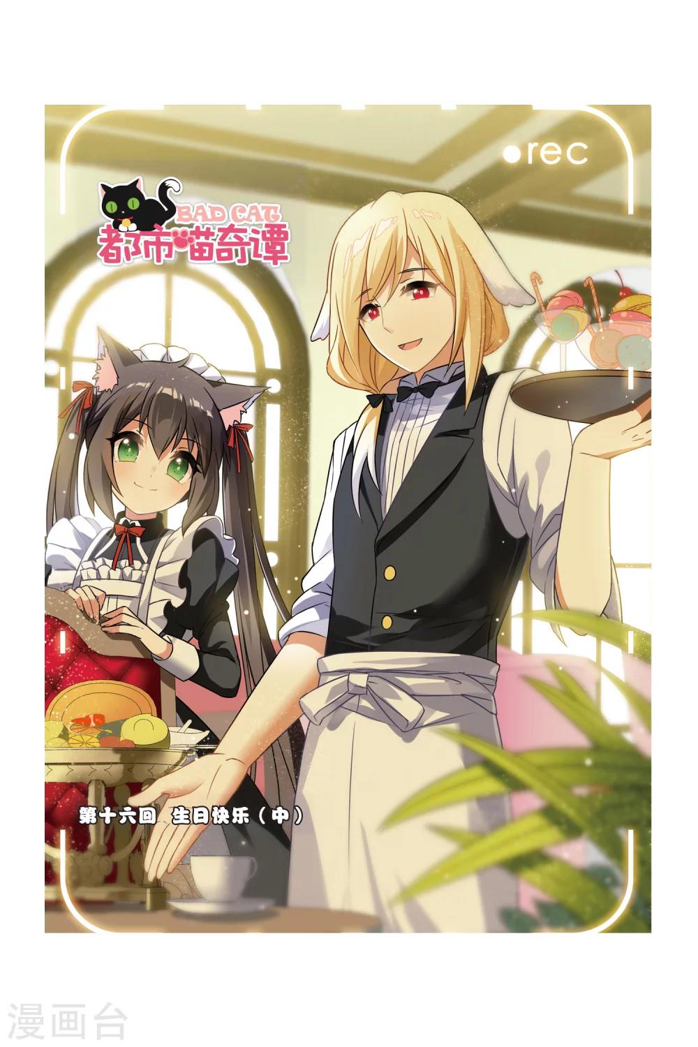 🍼都市喵奇谭 第16话 生日快乐（中） 第1页