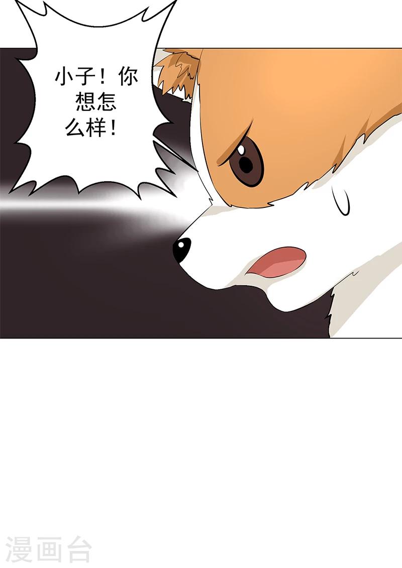 🍼都市猎魔人 第12话 正式加入 第10页