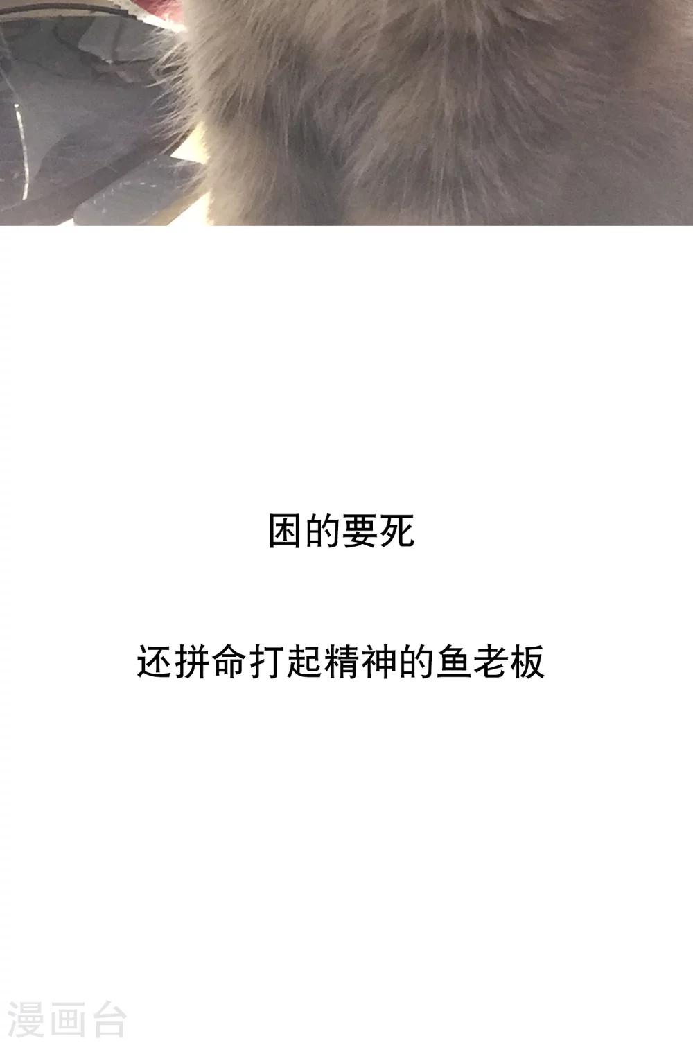 第84话-第84话