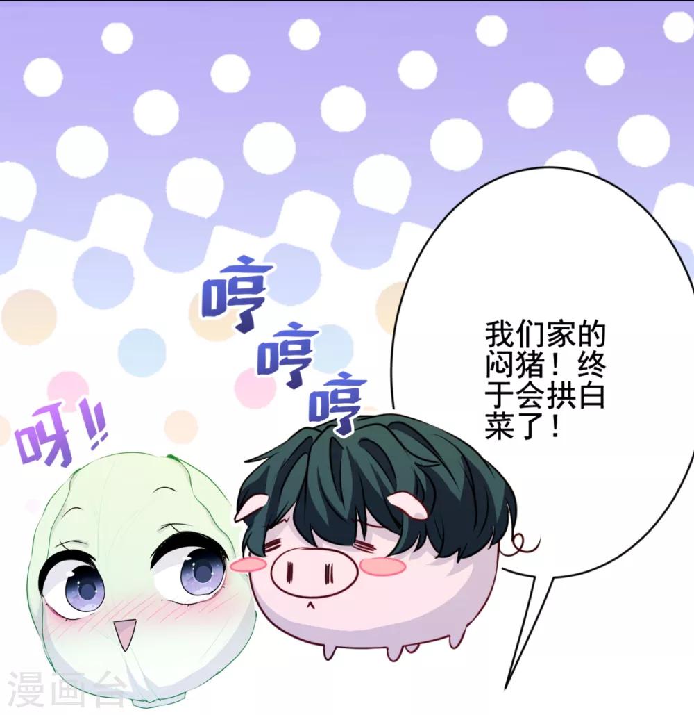 第17话 猪拱白菜啦！-第18话