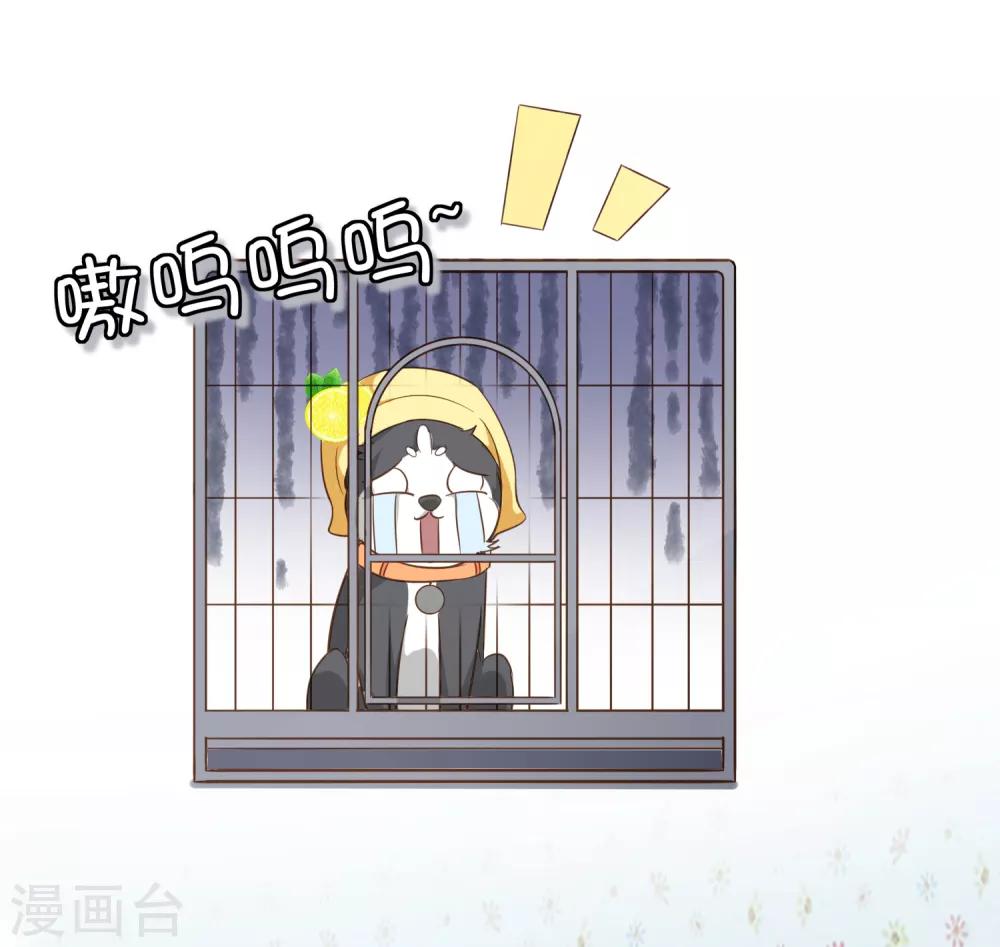 第73话 我要在你家睡！-第76话