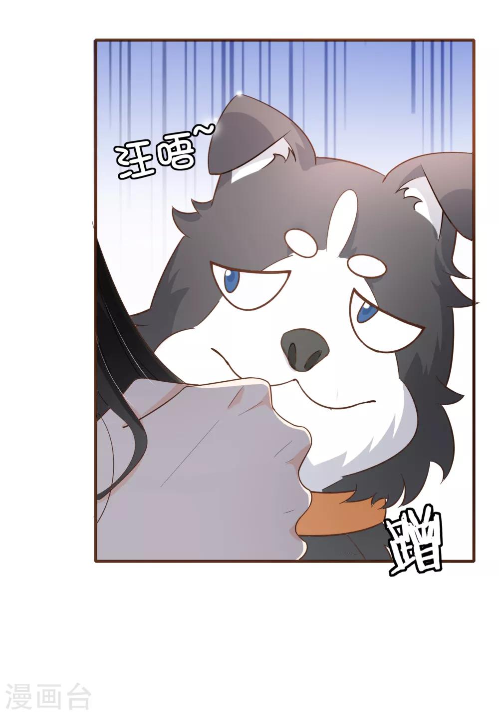 第79话 不要忘了，殷寻的尸检报告是假的！-第82话