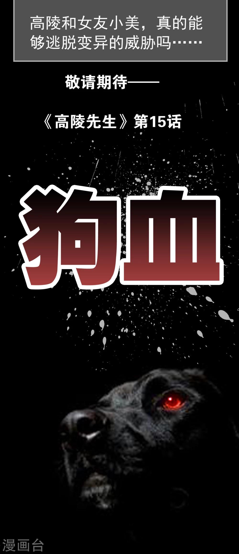 第14话 黑暗前的黎明-第14话
