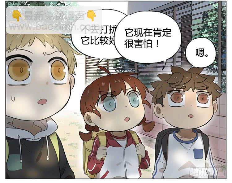 小猫-第86话