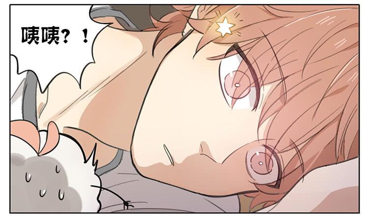 毛绒球-第90话