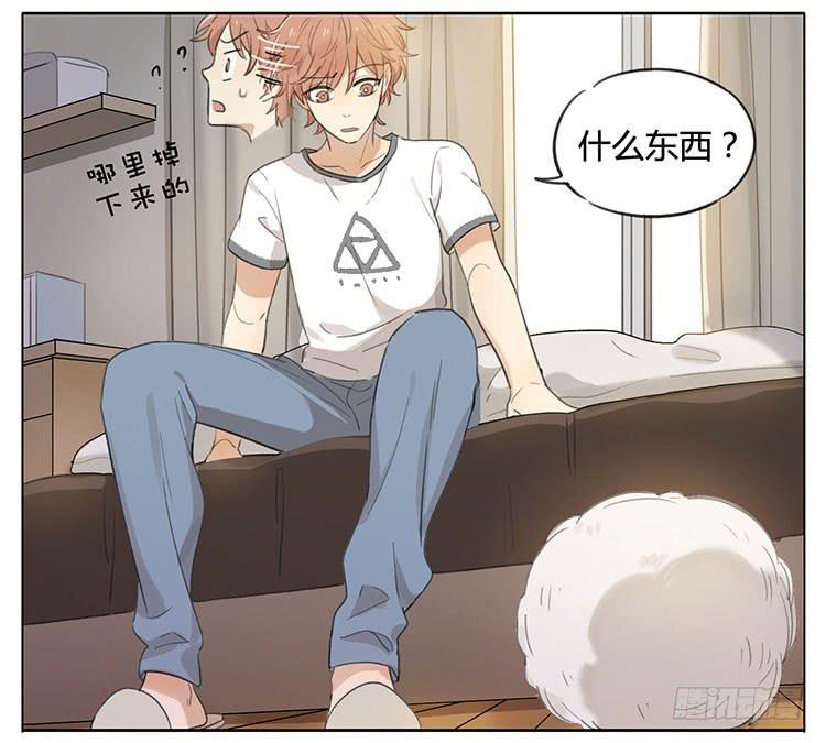 毛绒球-第90话