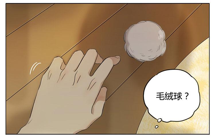 毛绒球-第90话