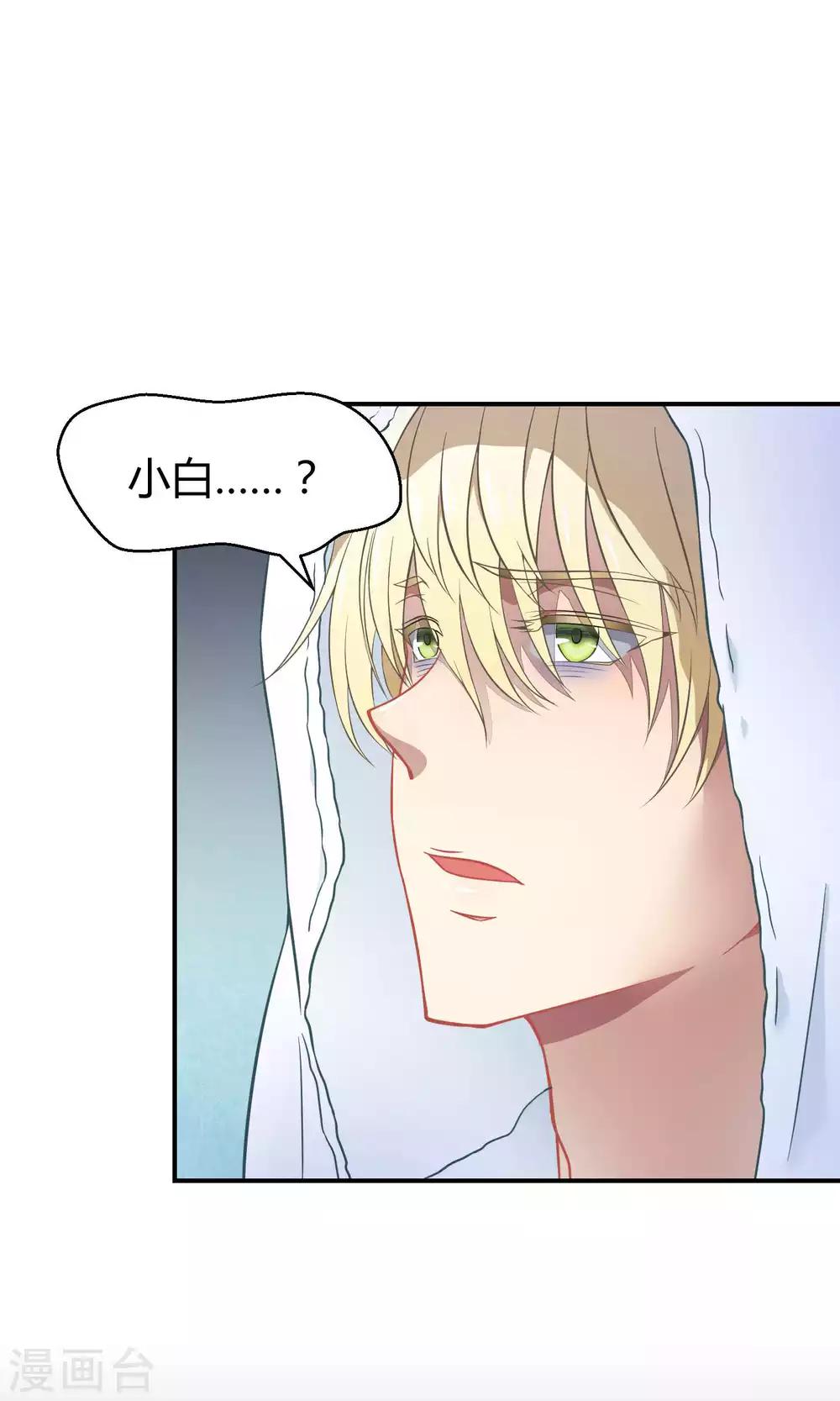 第34话2 白鲸救人-第54话