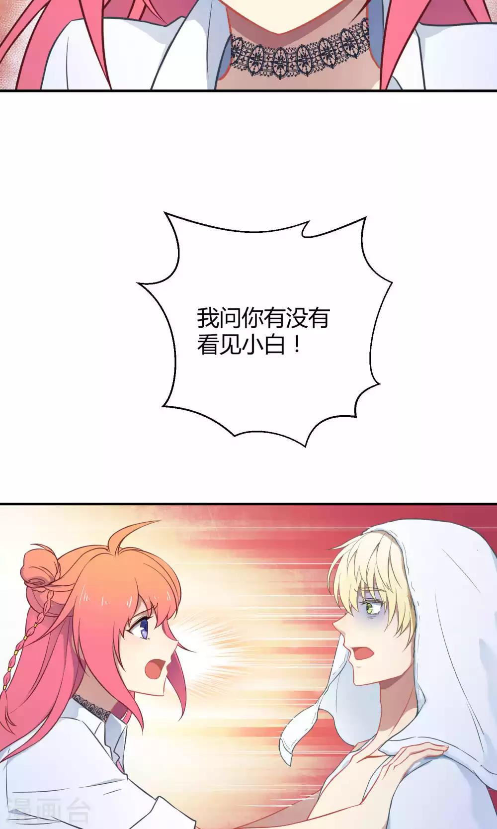 第34话2 白鲸救人-第54话