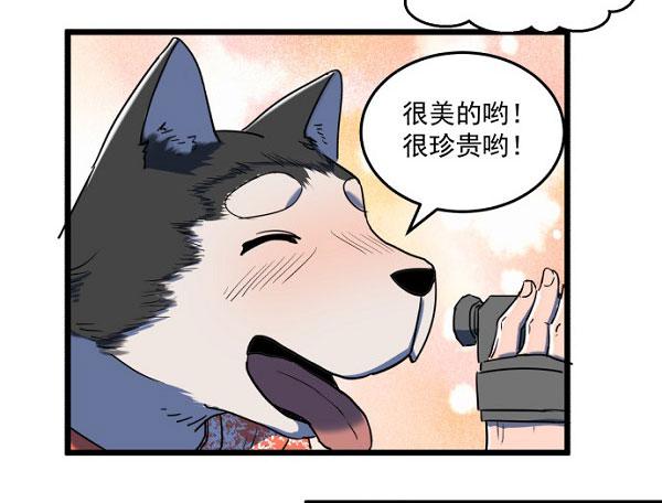 意外的求婚(1/2)-第36话