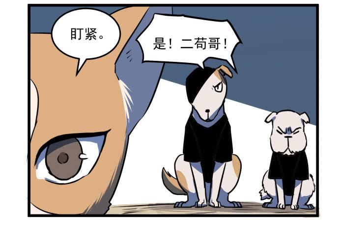 领导与手下的差别这么大吗？-第38话