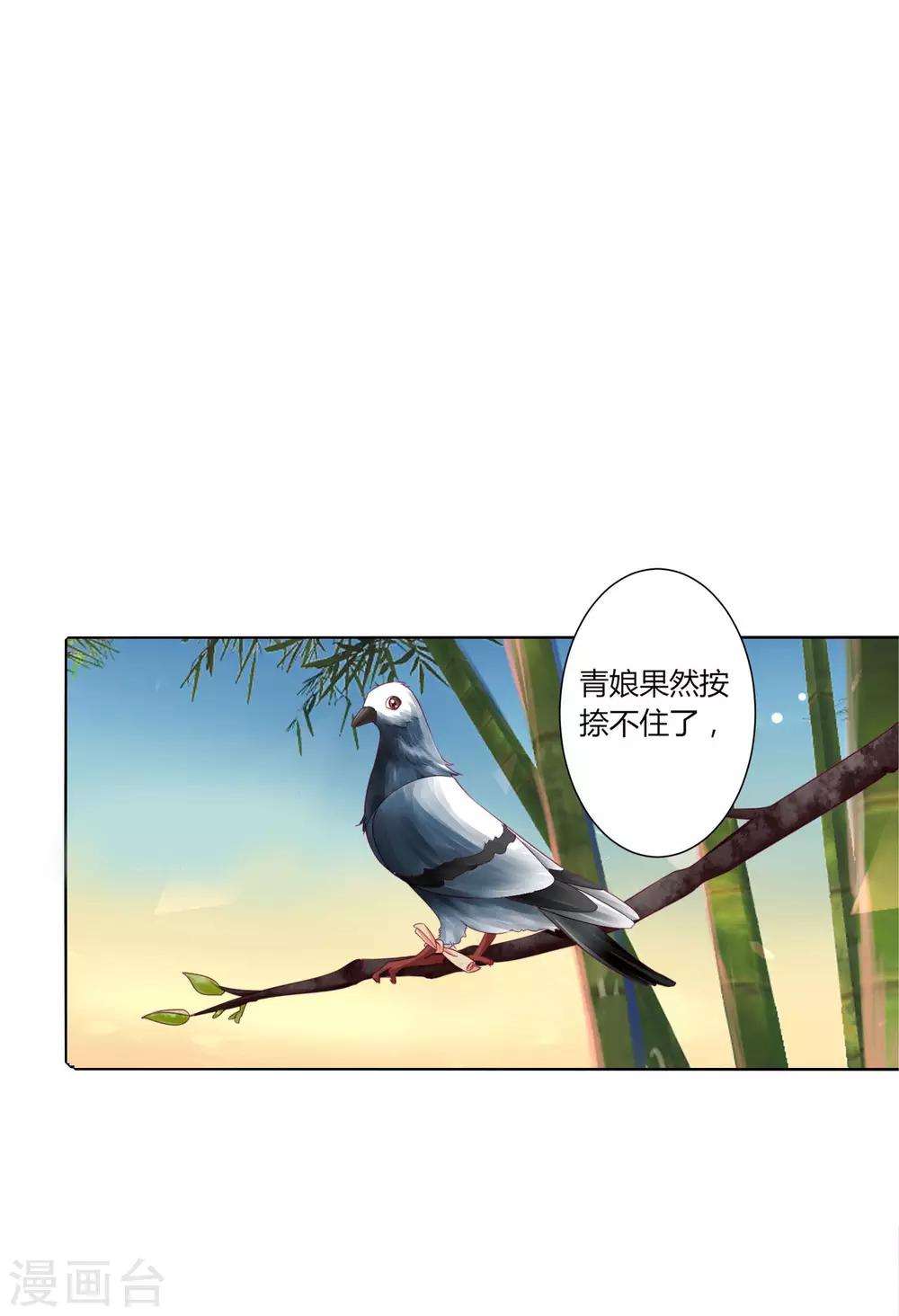 第28话 青娘的身份-第30话