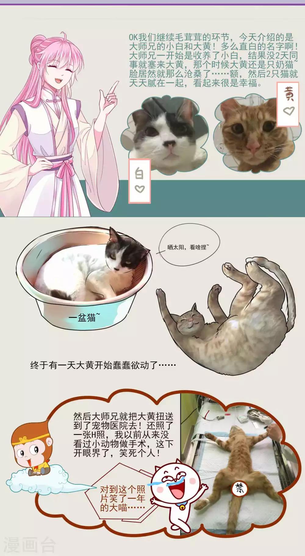 第54话 不寻常的夜晚-第58话