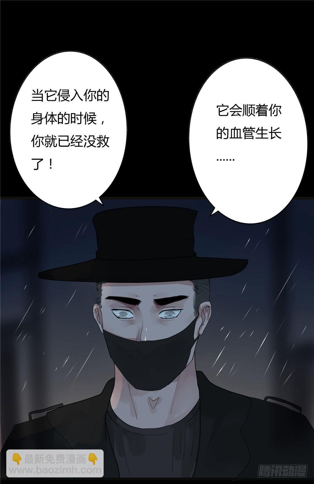 葬花【一】-第72话