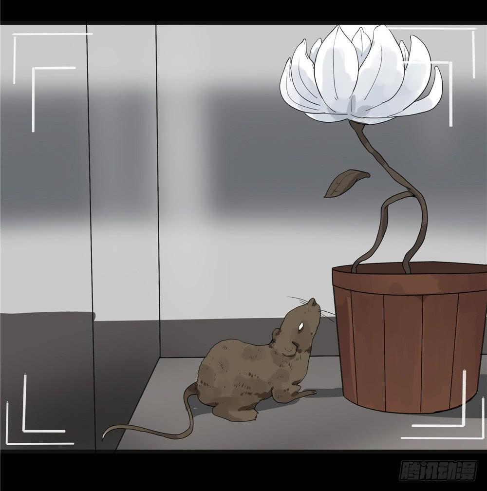 葬花【5】-第76话